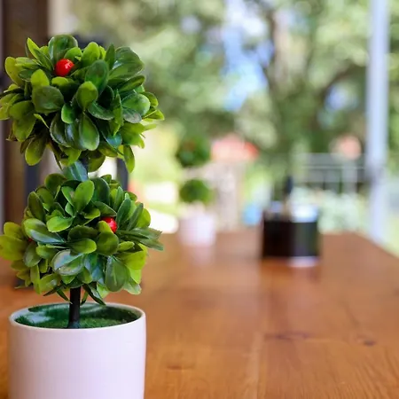 Roberta House Apartamento