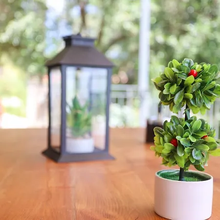 Roberta House Apartament Ano Pavliana